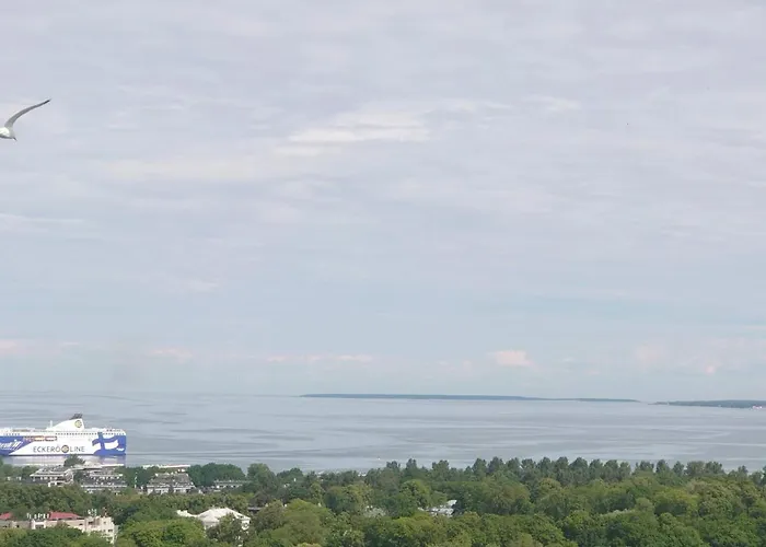 Under Your Eyes * Таллин